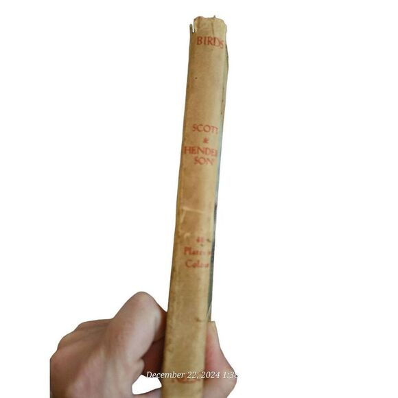 Birds shown series Scott & henderson by Thomas Nelson & sons Ltd books - Picture 4 of 5